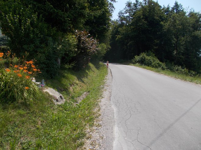 Deklica se je smrtno ponesrečila med vožnjo s kolesom na cesti med Vojnikom in Šmartnim v Rožni dolini. FOTO: Primož Škerl