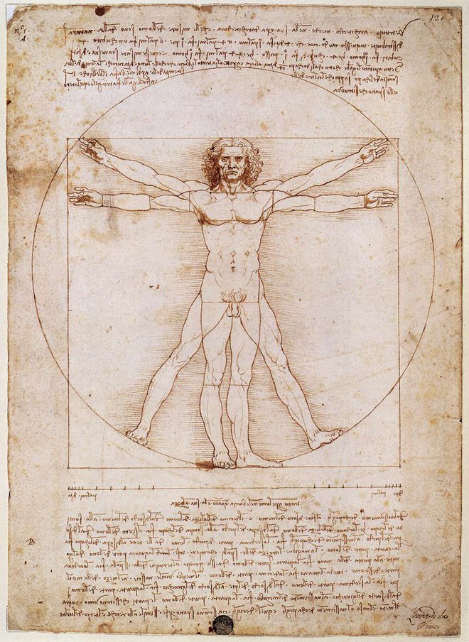 Leonardo da Vinci: Moški po Vitruviju, 1492. FOTO: Wikipedia