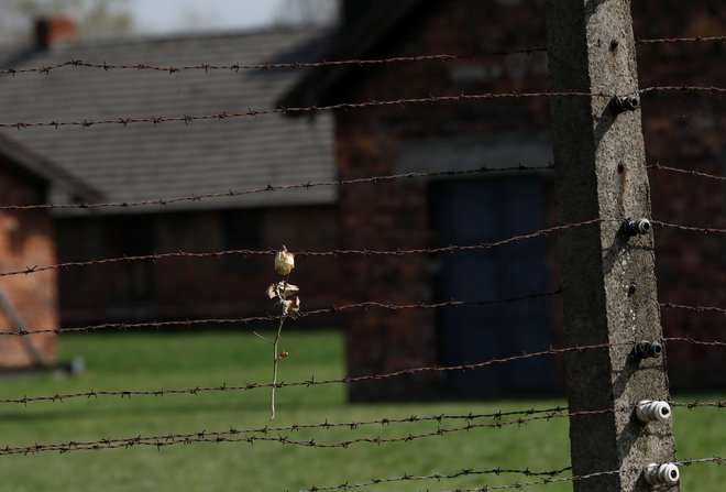 Nekdanje koncentracijsko taborišče Auschwitz. FOTO: Reuters/Kacper Pempel