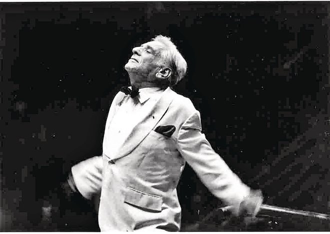 Bernstein Foto Uradna spletna stran