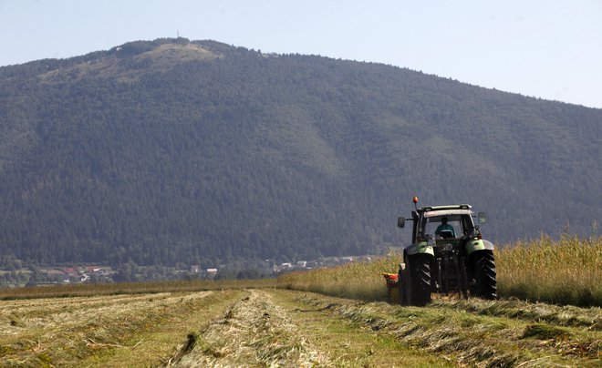 Prihodnja vlada obljublja, da bo subvencije osredotočila na aktivne kmete. Foto: Mavric Pivk