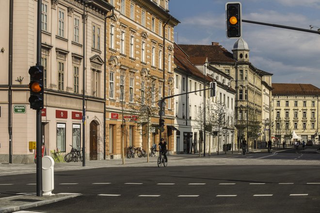 Na Gosposvetski cesti so zasadili drevored. FOTO: Voranc Vogel