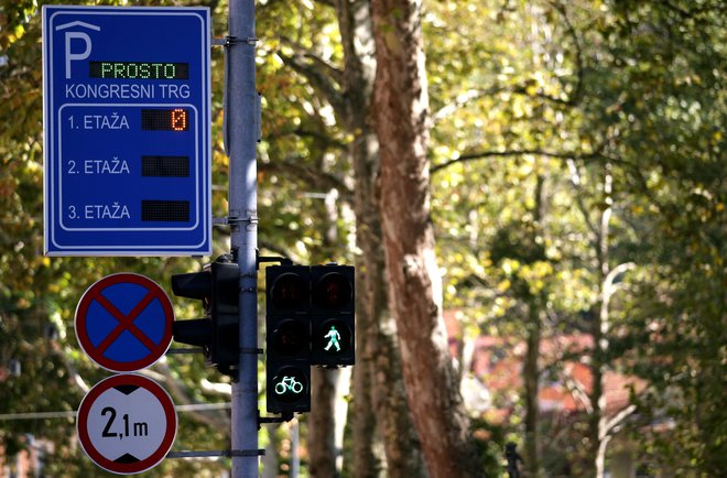 Na inštitutu so preverili in ocenili 14 parkirnih hiš v Ljubljani, Mariboru in na Obali. FOTO: Roman Šipič/Delo