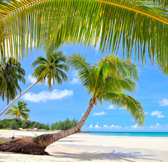 Nakazila za turistične storitve na plažah in letoviščih davčnih oaz so obdavčena že zdaj. Foto Shutterstock