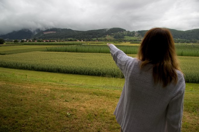 Braslovška polja, koder je načrtovana državna cesta Šentrupert-Velenje. FOTO: Brane Piano