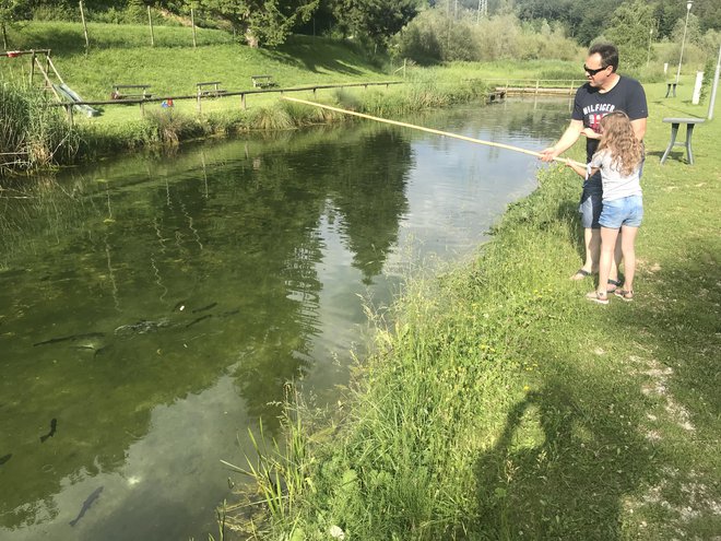 Novi lastnik kompleksa bo obnovil tudi objekte ribogojnice in bližnjega gostinskega lokala. Foto: arhiv podjetja