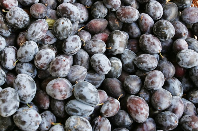 Izkoristimo sezono, kajti temno obarvano sadje je bogato z antociani in flavonoidi, ki krepijo zdravje možganov. Foto Igor Modic