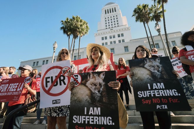 V kolikor bo zakon stopil v veljavo, bo Los Angeles postalo največje ameriško mesto, ki bi prepovedalo prodajo krznenih produktov. FOTO: Richard Vogel/Ap