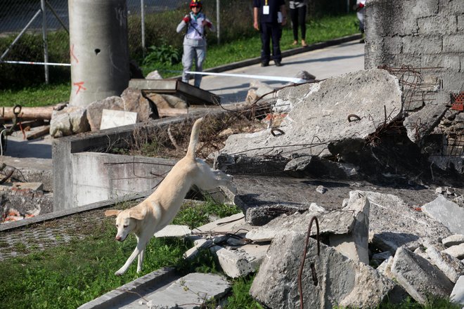 Osemletna Kira je dala vse od sebe. FOTO: Mavric Pivk, Delo