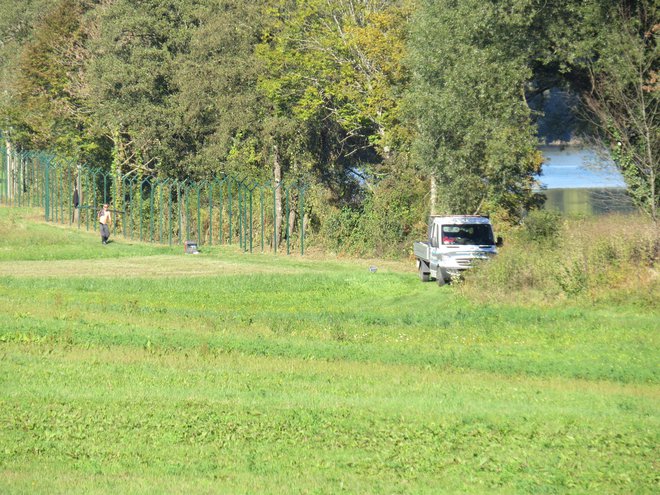 Tehnične ovire so začeli na novo postavljati od Prokšljevega mlina v Učakovcih gorvodno proti Vukovcem. FOTO: Bojan Rajšek/Delo