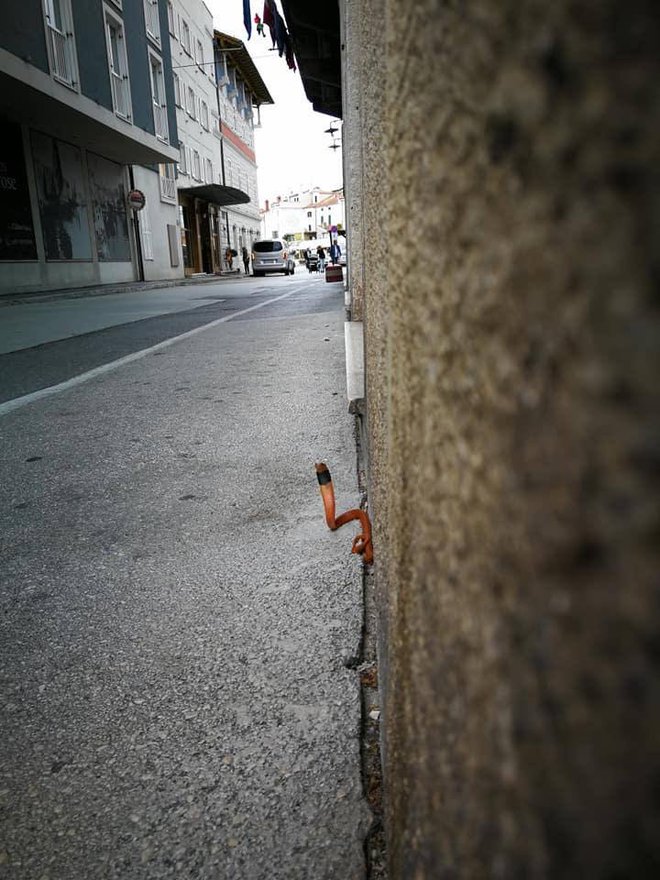 Rdeča pljuvajoča kobra je pobegnila na prosto tik ob piranskem akvariju. FOTO: Twitter