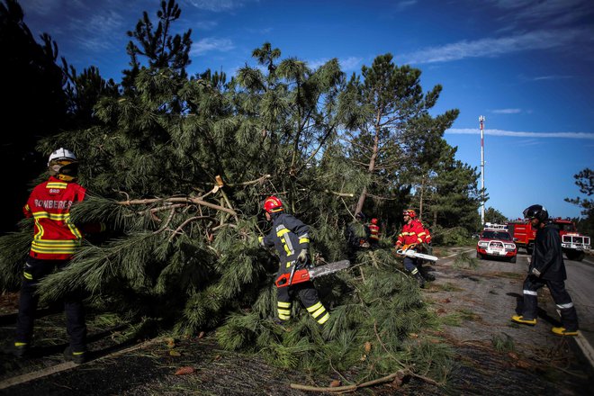 Močan veter je ruval drevesa. FOTO: Carlos Costa/Afp