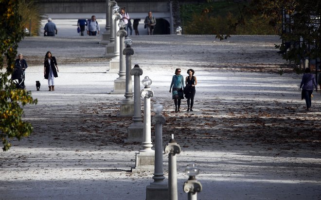 Tivoli je poleg Gradu in Ljubljanice ena od treh &raquo;absolutnih identitetnih prvin mesta&laquo;. FOTO: Matej Družnik/Delo