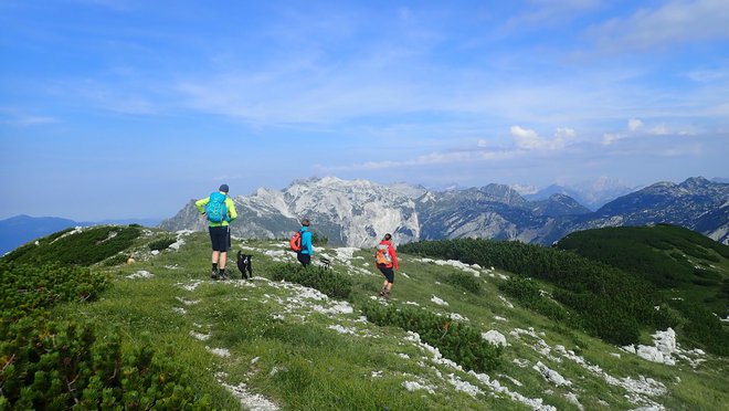 Pešpot Julijske Alpe bo vodila okoli Triglavskega narodnega parka. Foto Blaž Močnik