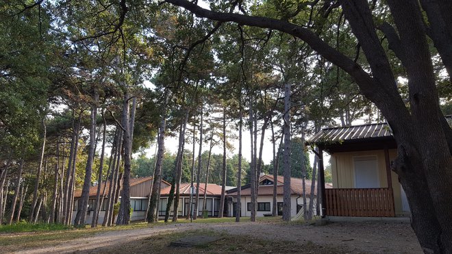 Počitniški dom stoji v raju na Zemlji. V lepem stoletnem borovem gozdu, v krajinskem parku Debeli rtič, v ohranjeni naravi, kakršne je na slovenski obali še zelo malo. FOTO: Boris Šuligoj