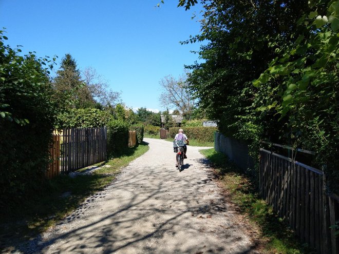 Glavna pot med parcelami, ki se slepo konča na dveh tretjinah območja, je dolga cel kilometer. FOTO: Aleš Stergar/Delo