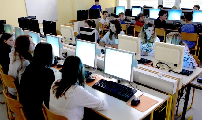 Delovna skupina, ki jo je imenovalo ministrstvo za delo, je izdelala študijo o mogočih spremembah pri pouku računalništva in informatike v osnovnih in srednjih šolah. Predlagala je temeljite spremembe. FOTO Roman Šipić