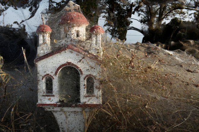 Pajki so izkoristili toplo vreme. FOTO: Alexandros Avramidis/Reuters