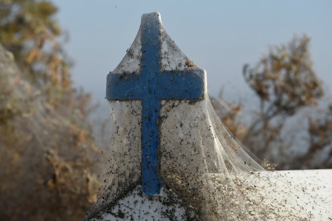 Za nekatere prizor kot iz grozljivke. FOTO: Alexandros Avramidis/Reuters