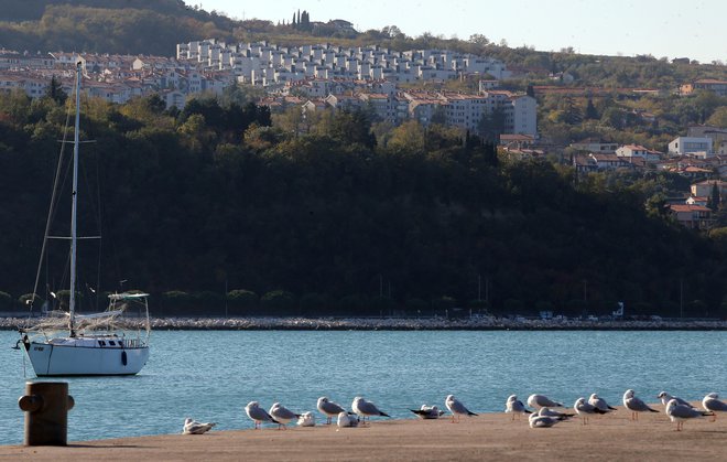 DUTB je v soseski Nokturno prodala 212 stanovanj, zdaj prek sodišča poskuša priti do stanovanj podizvajalcev. Foto Tomi Lombar