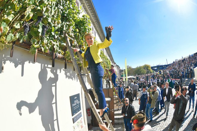 Kmetijstva in turizem se morata tesneje povezati. FOTO: Marko Pigac/mp Produkcija