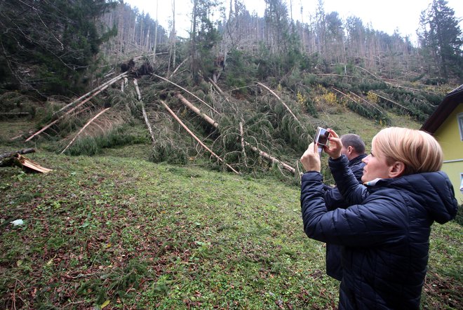 Ministrica za kmetijstvo Aleksandra Pivec je po ogledu škode v Koprivni kmetom obljubila pomoč najprej pri čim hitrejši sanaciji, nato pa pri ponovnem zasejevanju prizadetih območij. FOTO: Tadej Regent/Delo