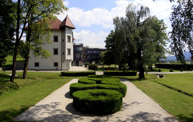 Družba Novoinno finance je takoj po nakupu terjatev unovčila zavarovanje in postala lastnica posestva Lambergh. Foto Roman Šipić/Delo