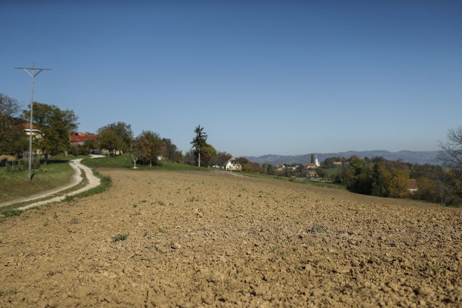 Posestvo kmetije Gregorič obdelovano po biodinamičnih principih Demeter, v Gorenji vasi pri Šmarjeti, 16. oktobra 2017.
[Gregorič Jože,Gorenja vas pri Šmarjeti,biokmetijstvo,biodinamika,kmetijstvo,kmetovanje,kmetje,pridelava hrane,hrana,Demeter]