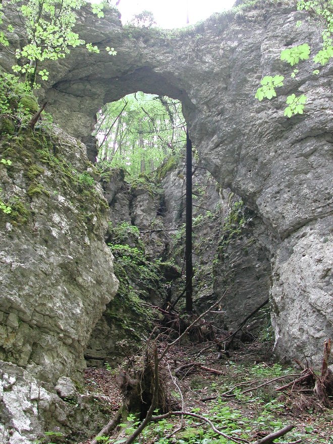 Naravni most na Pokljuki. FOTO: Blaž Račič