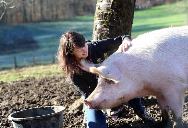 Gospodarica Ksenija Vesenjak in ena od živali, ki jih je rešila pred nožem, pujsa Bukica. FOTO: Tadej Regent