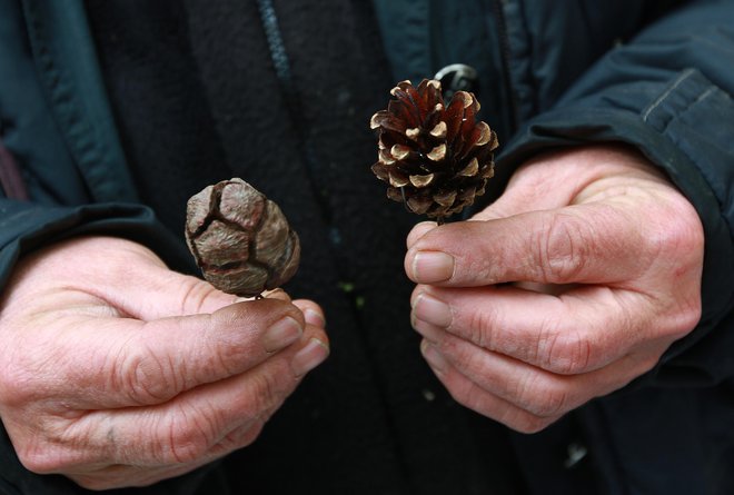 Recipročnost, dialog, enakost in drugačnost &hellip; vse to mora biti postavljeno pred izrecno in verbalno širjenje vere. FOTO: Jože Suhadolnik