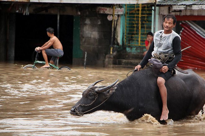 Filipine na letni ravni zajame okoli 20 ciklonov, ki terjajo na stotine življenj. FOTO: Afp