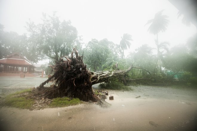 FOTO: Nakhon Si Tammarat/Reuters