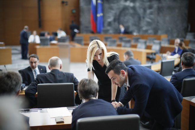 Pred poslanci, ki bodo 10. januarja vnovič začeli redna zasedanja, bodo najprej na vrsti kadrovska vprašanja. FOTO: Uroš Hočevar/Delo