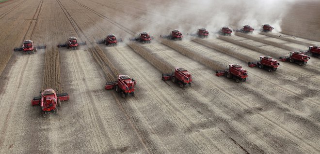 Ameriški delež v evropskem uvozu soje je že 74,5-odstotni. FOTO: Reuters