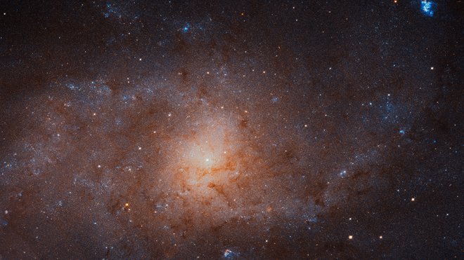 Galaksija v Trikotniku ali Messier 33. Fotografija je mozaik 54 posameznih posnetkov vesoljskega teleskopa Hubble.&nbsp;<br />
FOTO: NASA, ESA, and M. Durbin, J. Dal
