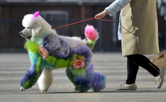 FOTO: Reuters