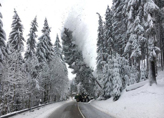 V bližini Altenberga v Nemčiji FOTO: Reuters