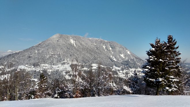 Zimski pogled na Kojco iz Bukovskega Vrha.
