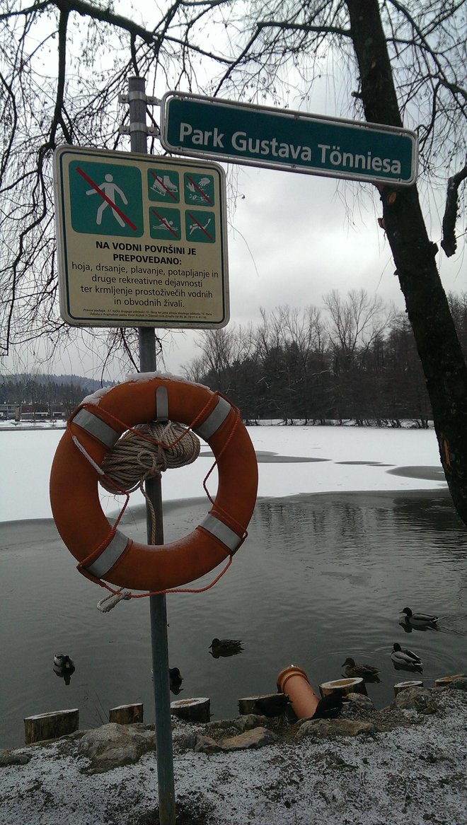 Rešilni obroči na Koseškem bajerju FOTO Aleš Stergar/Delo