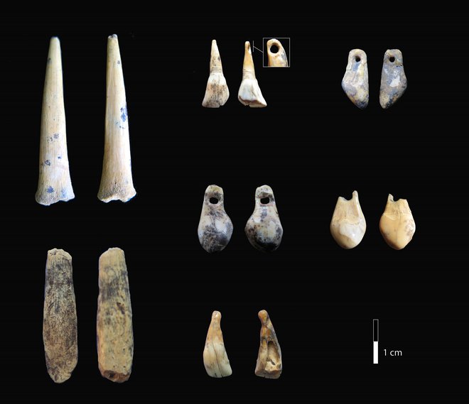 Koščki kosti in zob, najdenih v sibirski jami.<br />
FOTO: Katerina Douka/Reuters
