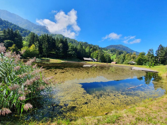 Obiskovalci zanemarjenega jezerca so tako željni sprememb, da v vsakem prišleku s kravato vidijo interesenta za nakup. Teh žal še ni na obzorju. FOTO: Mateja Kotnik