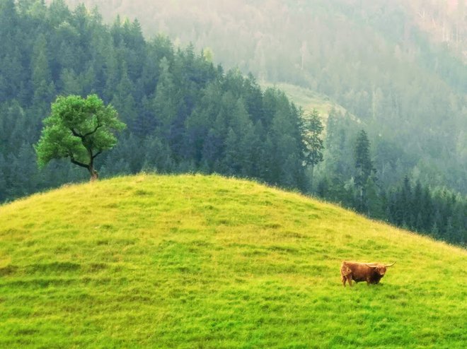 Če sploh še kaj vidiš, na tem odseku, obrvi, njun jez popusti in znoj posoli oči in ... FOTO: Mb Cvjetičanin