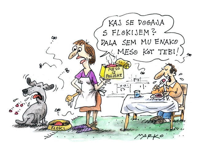 KARIKATURA: Marko Kočevar