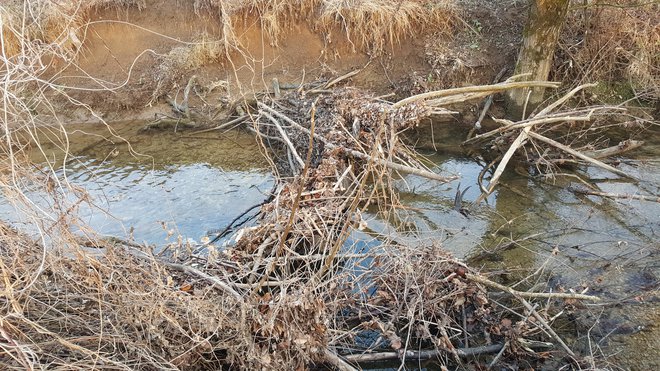 Eden od jezov na potoku Klamfer. FOTO: Maja Prijatelj Videmšek