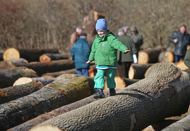 Na licitaciji so se zabavali tudi najmlajši. FOTO: Tadej Regent/Delo