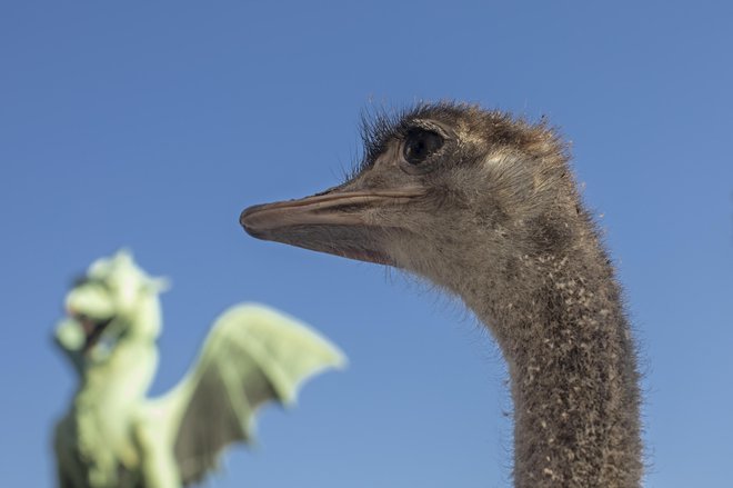 Ko gredo na daljšo pot, se vsake pol ure ustavijo na počivališču za vsaj petnajst minut, kar potovanje zelo podaljša. Do Zagreba so potrebovali več kot tri ure. Foto Voranc Vogel/ Delo