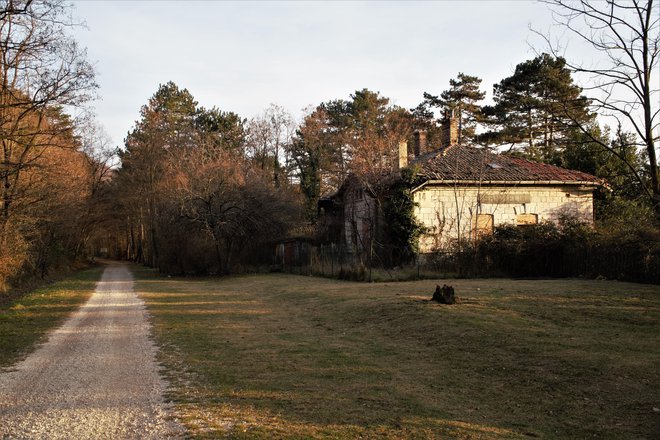 Do konca leta 1958 je malo naprej od vasi Draga (Santa Elia) do zadnje postaje pred mejo z Jugoslavijo iz Trsta še vozil vlak. Postaja je danes v ruševinah. FOTO: Brane Piano