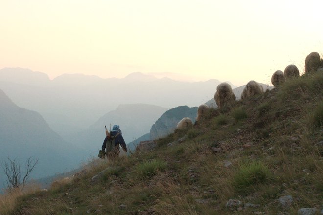 Tindža Čomor med vsakdanjimi opravili na planini Bjelašnica. FOTO: Žiga Gorišek