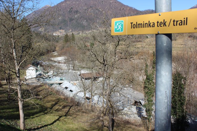 Vidra je našla luknjo v zaščitni ograji ribogojnice na Tolminki. Foto Blaž Močnik/Delo